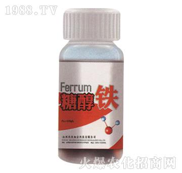 �Ǵ��F-������Ҽ