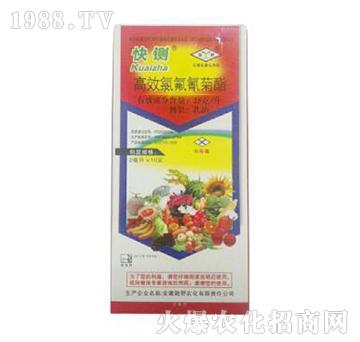 ��Ч�ȷ����������-��