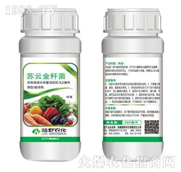 �K�ƽ�U���Ҹ���-�ٴ�