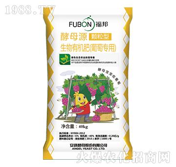 ���ь�(zhu��n)�������ЙC(j��)��-����-����