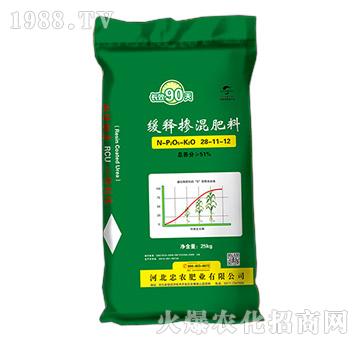 ��ጓ������28-11