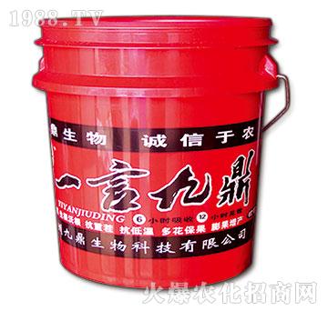 һ�ԾŶ�-�ذ�Ȫ