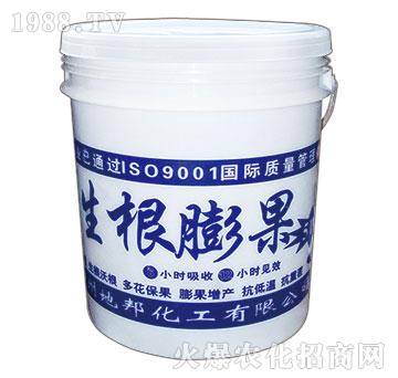 �������-�ذ�Ȫ