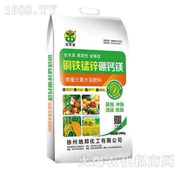 �~�F�i�\���}�V-�ذ�Ȫ