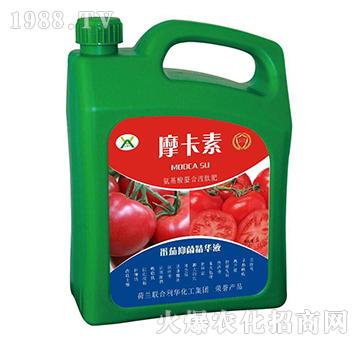 �����־����AҺ-Ħ����