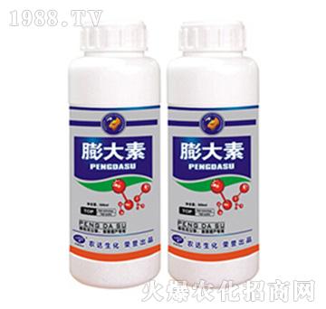 �����-�r(n��ng)�_(d��)����