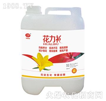 �����a-�r(n��ng)�_(d��)����