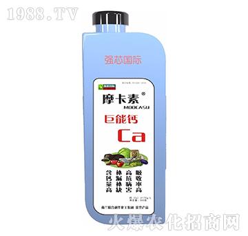 �����}-Ħ����-��(qi��ng)о��