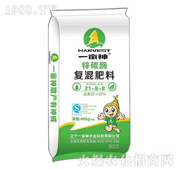 �\̼ø��(f��)���21-8-