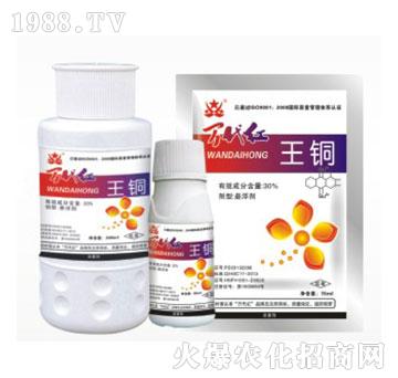 30%���~-�f���t-�G��