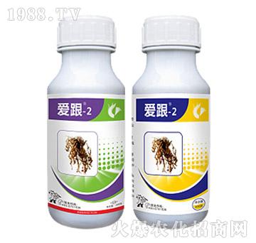 ���ξ��x����-�۸�-2���b-��Ѹ