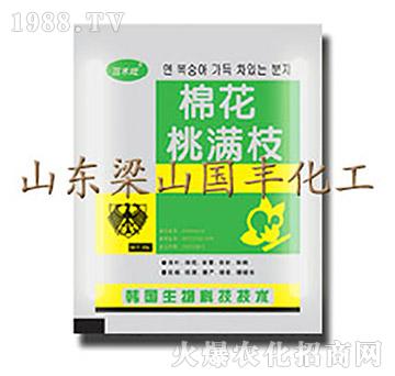 �޻��ҝM֦��25g��-