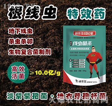 ���x(ch��ng)����-�~�S�ѳ�����