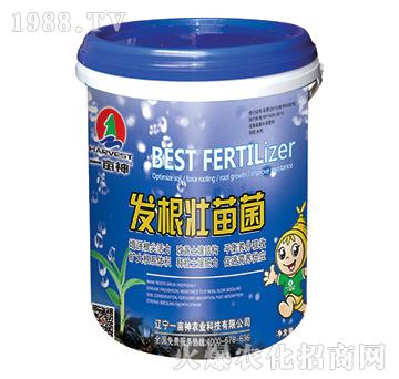 �l(f��)�������-һ����