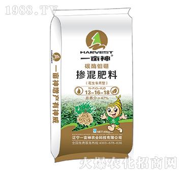 ����������̼ø�f�𓽻�