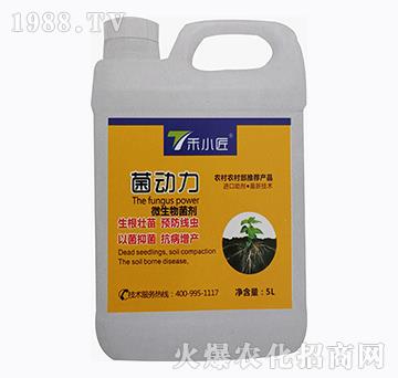 ΢�������-������-��С��-��֮��