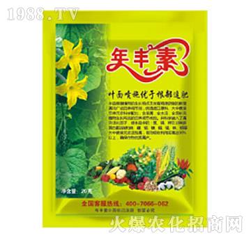 ���S��-�滯���h