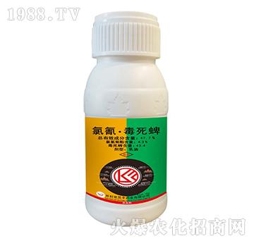 47.7%���衤������