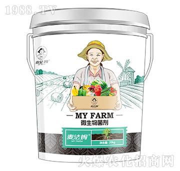 ΢�������-����ķ-��������