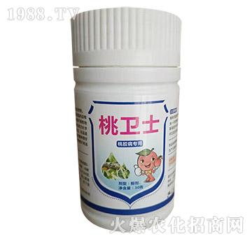 ���z������-���l(w��i)ʿ-�Z������