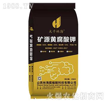 �VԴ�S�����-��ǧ�ֺ�-�ֺ���ֲ��