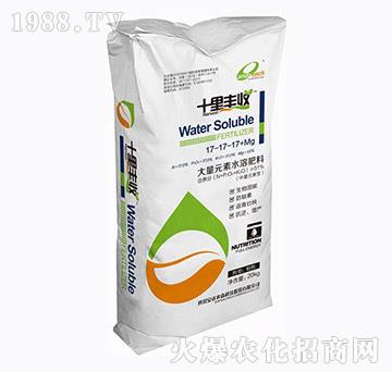 ����Ԫ��ˮ�ܷ���17-17-14+MG-ʮ���S��-���_