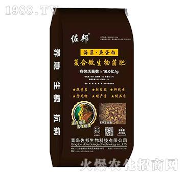 �ͺ�΢�������-����