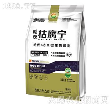 ���Ŀݸ���-���_��