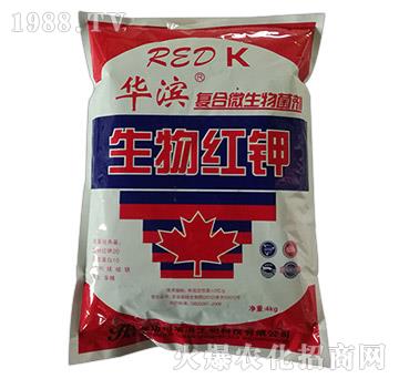 ����t�-�ͺ�΢�������-�A�I