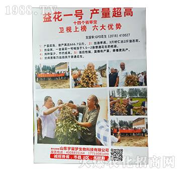 �滨һ̖(h��o)-�����(m��ng)����