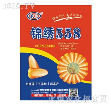 �\�C558-����-�����(m��ng)����