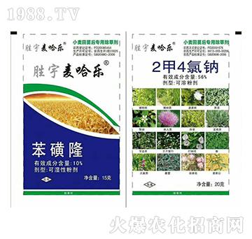 �������M��-�K�ƻ���