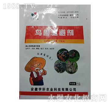 �B�F�܄�-��܎�r(n��ng)�I(y��)