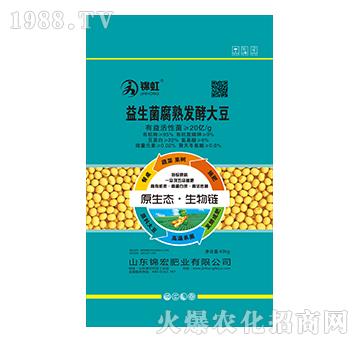 ����������l(f��)�ʹ�-�\��-�\��ʘI(y��)