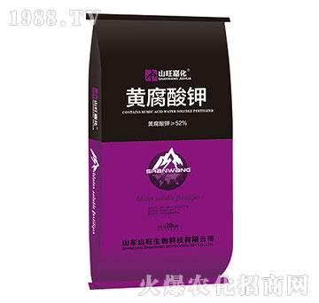 �S�����-ɽ������