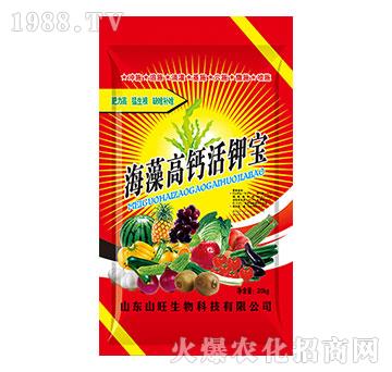 ������}��⛌�-ɽ����