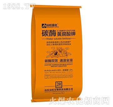 ̼ø�S�����-ɽ������