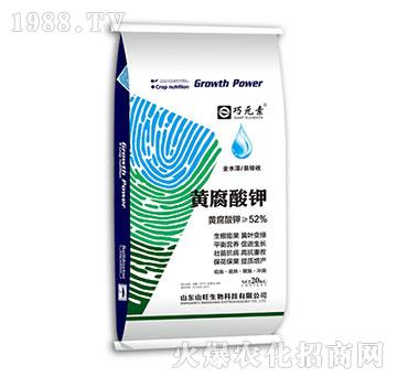 �S�����-��Ԫ�أ�20