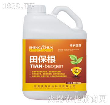 �ﱣ��-���r(n��ng)����-ʢ���r(n��ng)�I(y��)