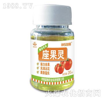 �����`�����ь��ã�-���r(n��ng)����-ʢ���r(n��ng)�I(y��)