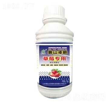 ��ݮ��(zhu��n)�÷�-��ɽ����