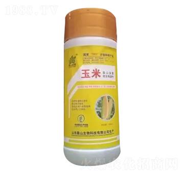 ���׌�(zhu��n)�÷�-��ɽ����