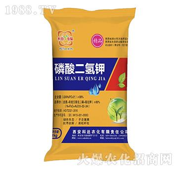 ��Ʒ��������-���_�r��