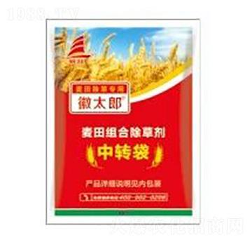 ����M�ϳ��݄�-��̫��