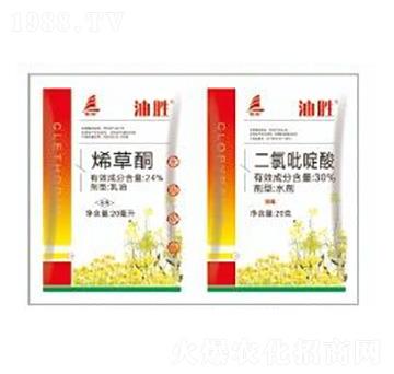 24%ϩ��ͪ+30%��