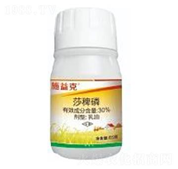 30%ɯ����-ʩ���-