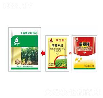 �������s�ݽ�Q����-ϲ