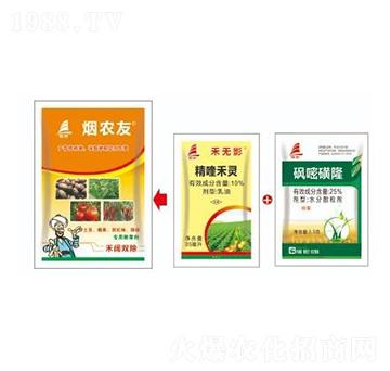 ���~�����������������t