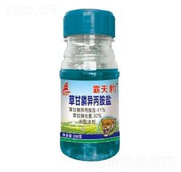 41%�ݸ�좮������}-