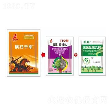 �����Գ��݄��M�ϣ�����